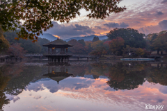 奈良 浮見堂 朝景色