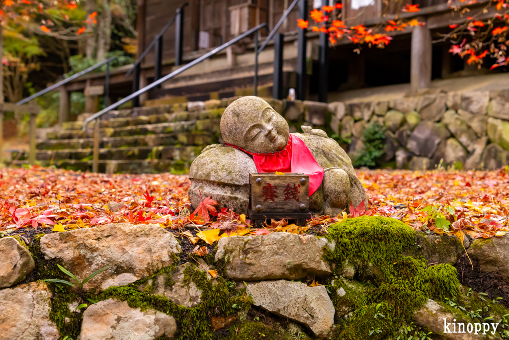 大国寺 紅葉