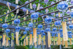 正寿院 風鈴 6