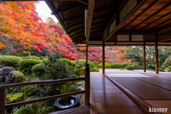 詩仙堂 紅葉 4