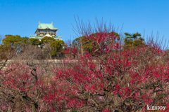 大阪城公園 梅園