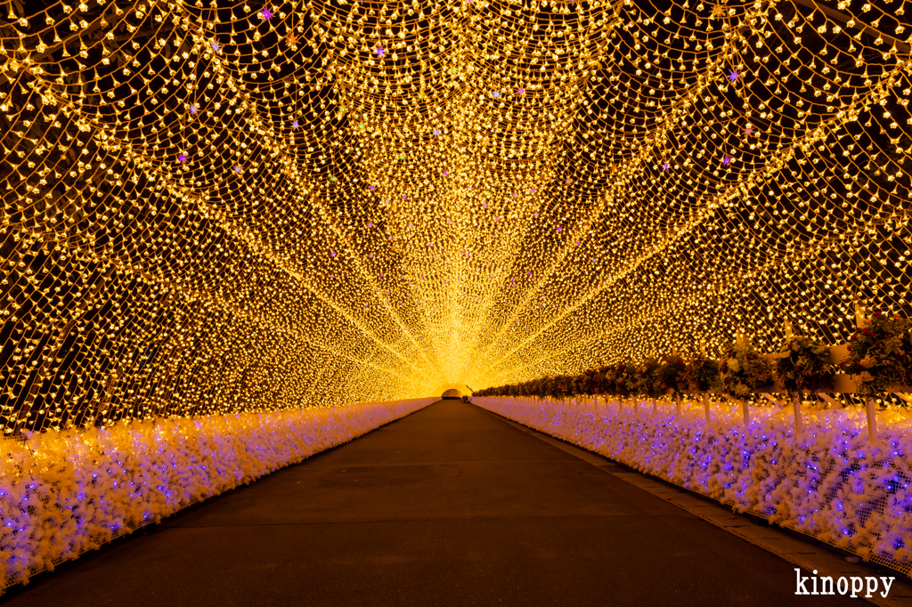 なばなの里 イルミネーション 5