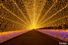 なばなの里 イルミネーション 5