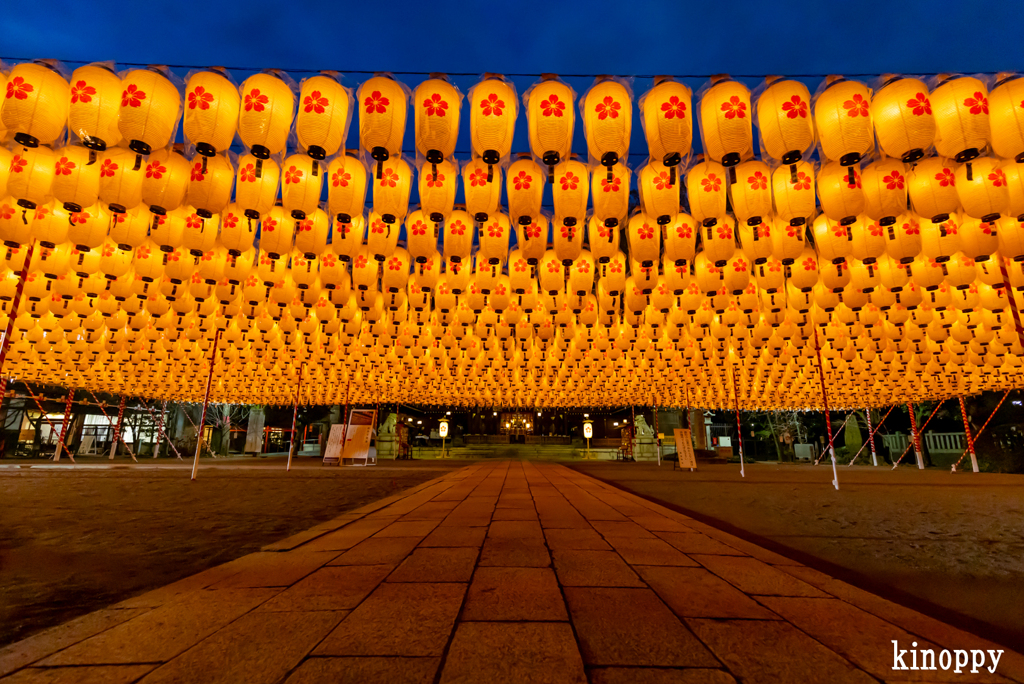 姫路靖國神社 新年万灯祭 2