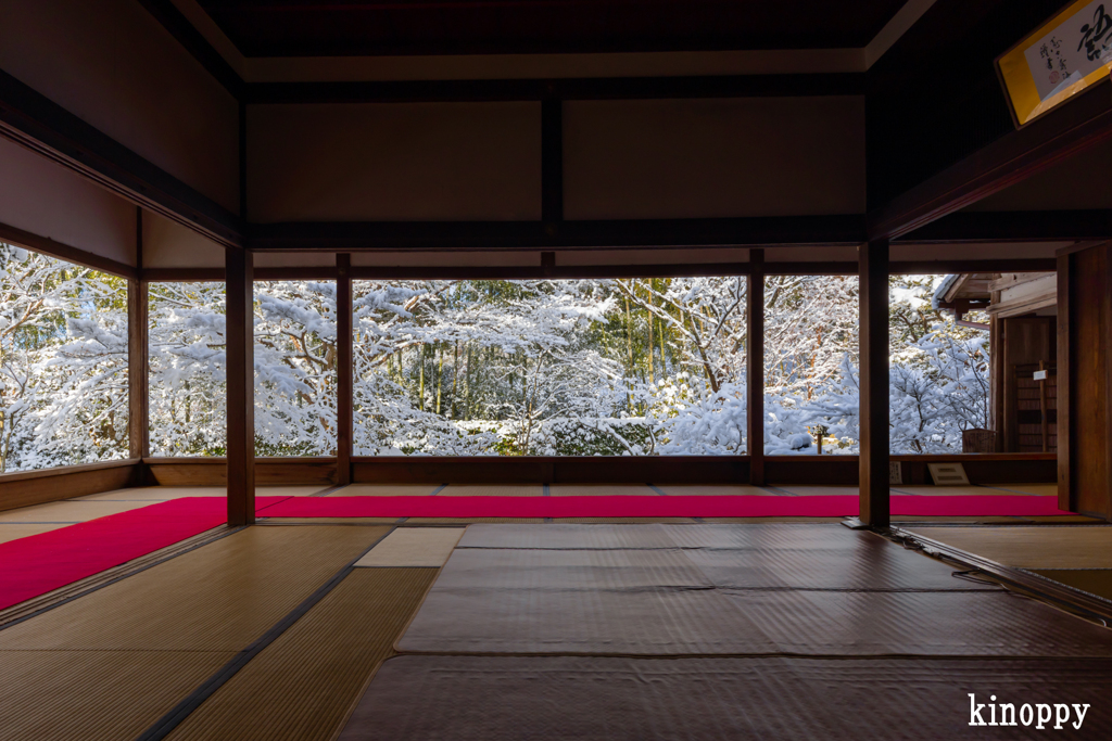 宝泉院 雪景色 3