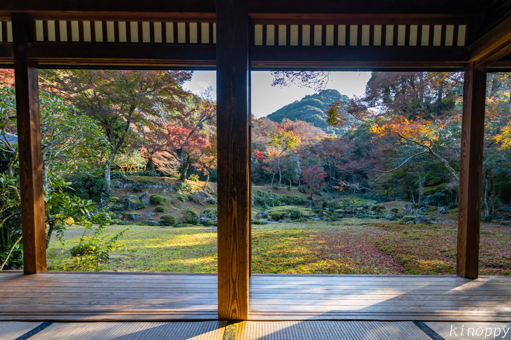 清水寺本坊庭園 紅葉 3
