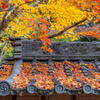 西光寺 紅葉 2