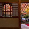 圓光寺 紅葉 6