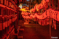 萱野神社 献灯祭 7