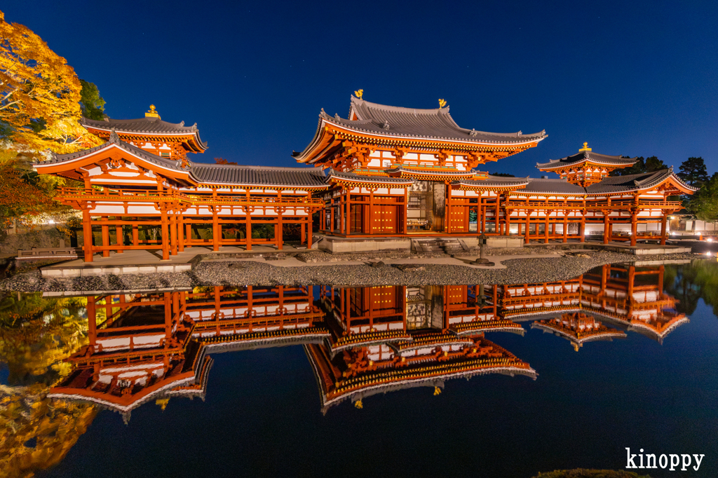 平等院鳳凰堂 ライトアップ 4