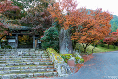 高源寺 紅葉