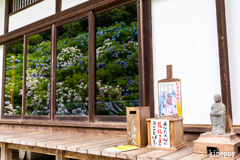 華觀音寺 6
