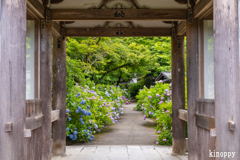 華觀音寺 3
