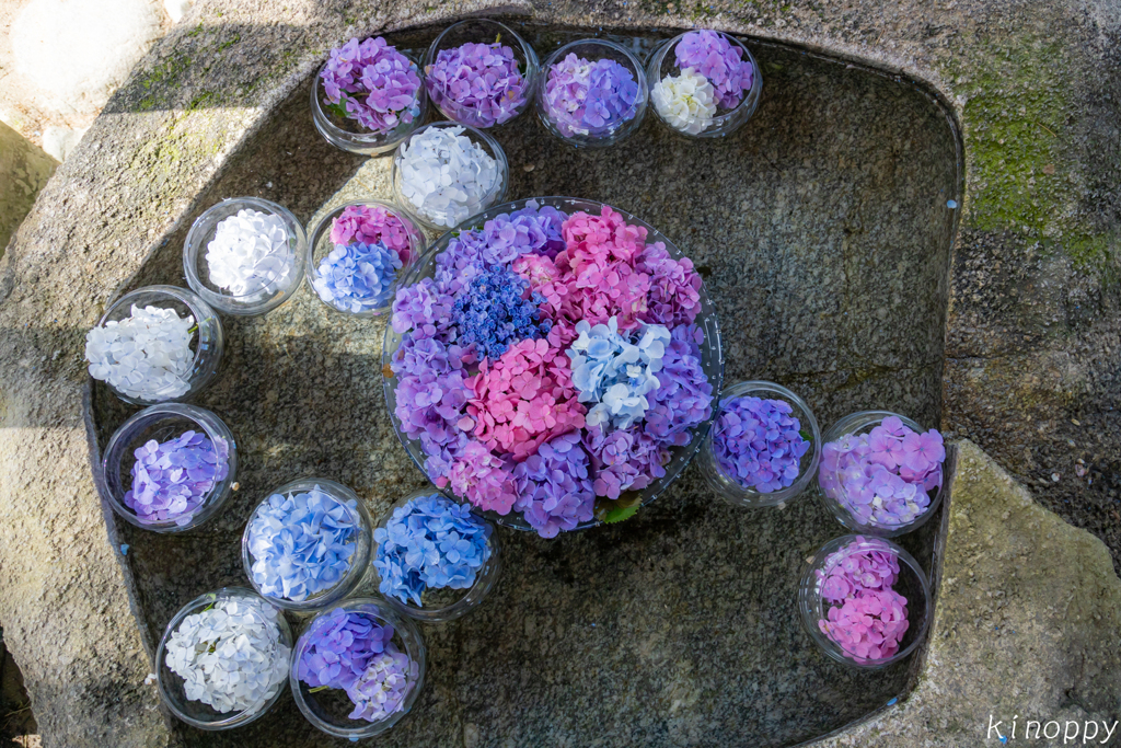 竈門神社 花手水