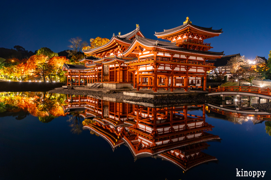 平等院鳳凰堂 ライトアップ