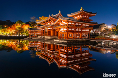 平等院鳳凰堂 ライトアップ