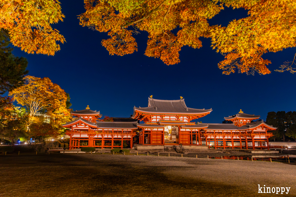 平等院鳳凰堂 ライトアップ 7