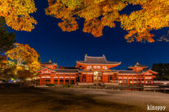 平等院鳳凰堂 ライトアップ 7