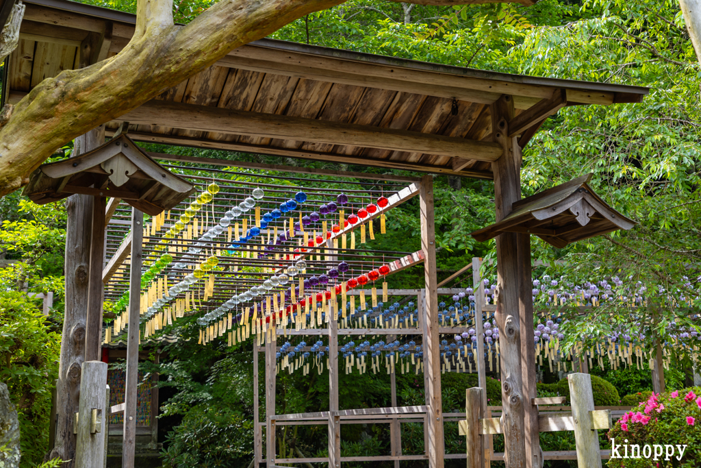 正寿院 風鈴まつり 2