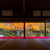 圓光寺 紅葉