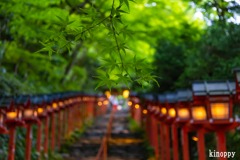 貴船神社 5