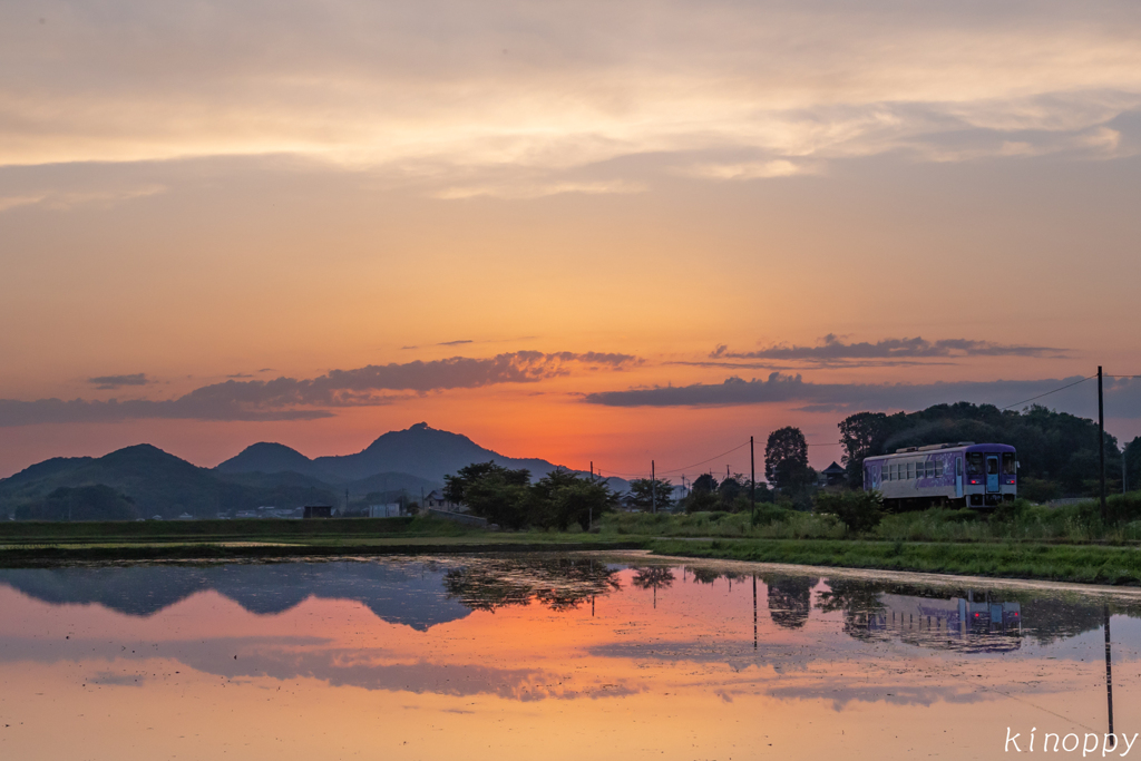 北条鉄道 夕景