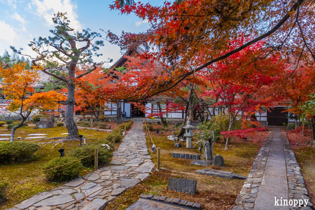 鹿王院 紅葉