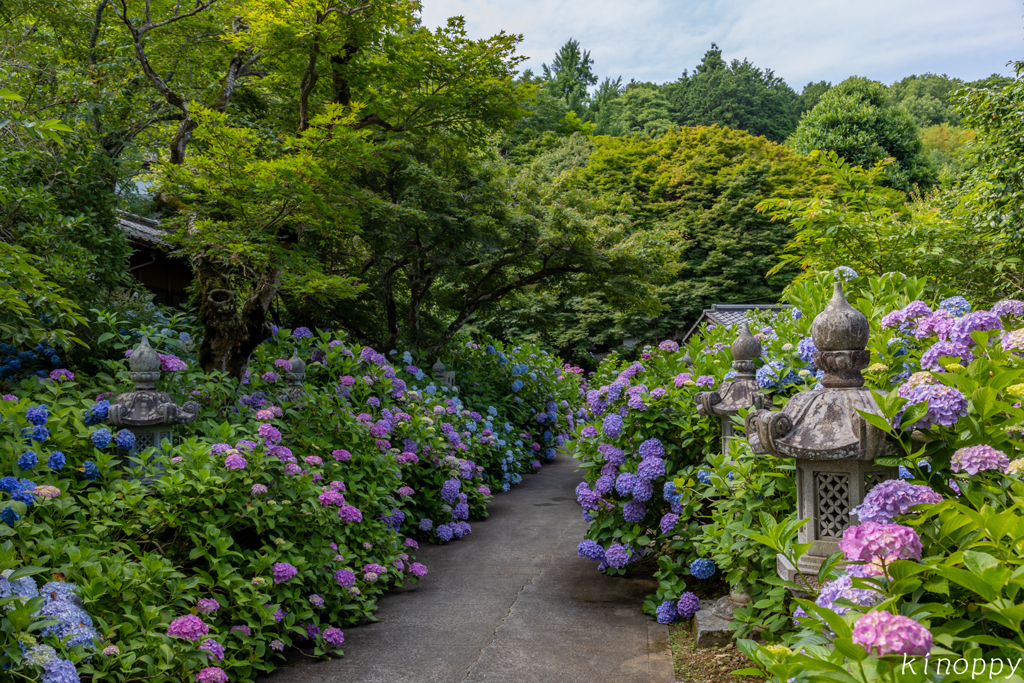 華観音寺 4