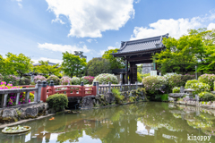 妙満寺 3