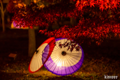 岡山後楽園 幻想庭園 5