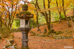 高源寺 紅葉 10