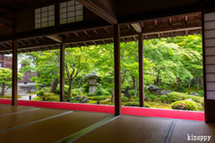 圓光寺 新緑 3