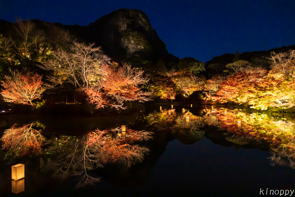 御船山楽園 紅葉 ライトアップ