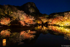 御船山楽園 紅葉 ライトアップ