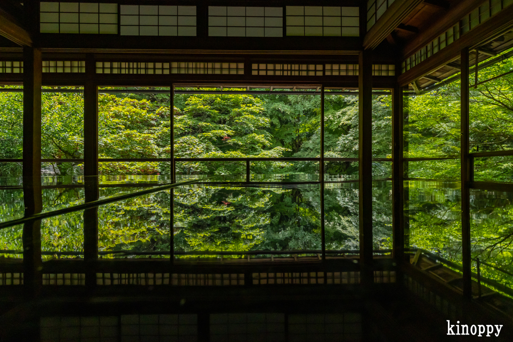 瑠璃光院 2
