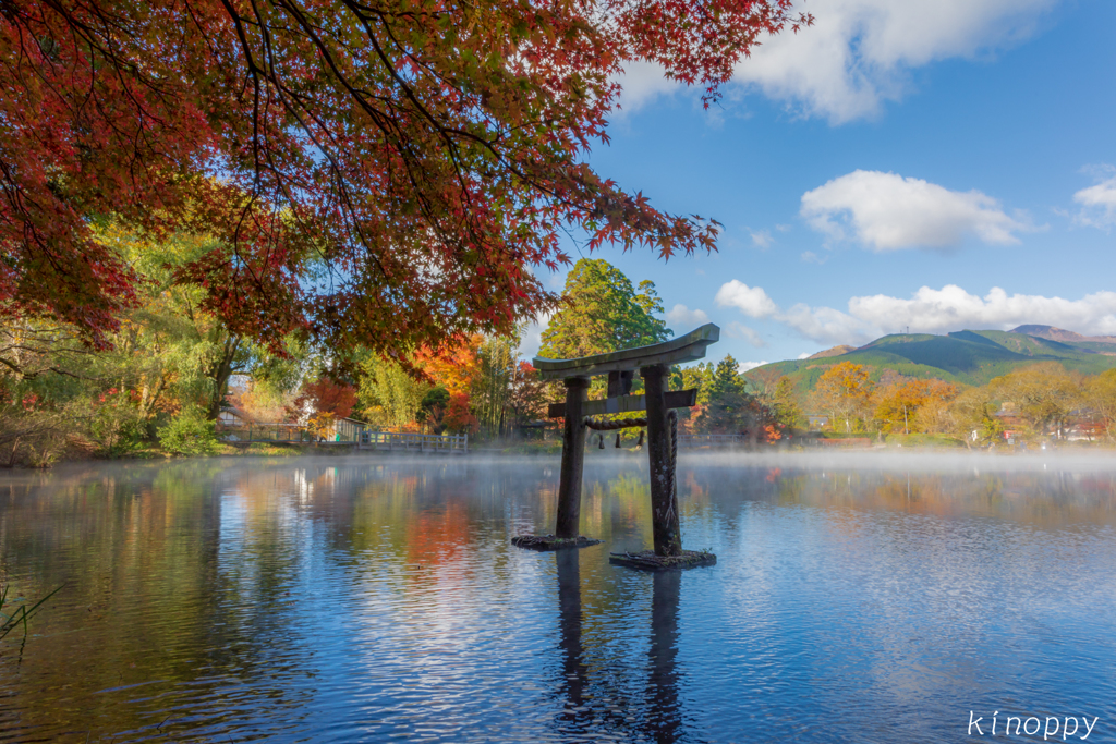 湯布院 金鱗湖 紅葉 ～霧が晴れて～