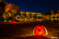 岡山後楽園 幻想庭園 4