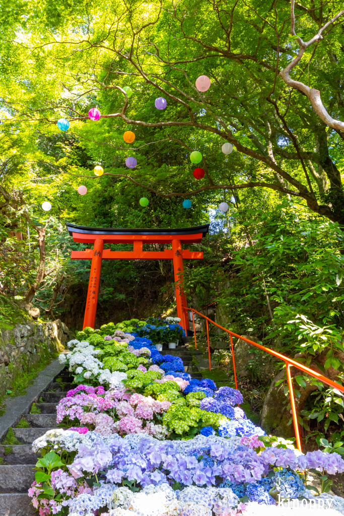柳谷観音楊谷寺