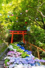 柳谷観音楊谷寺