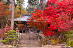 大国寺 紅葉 3