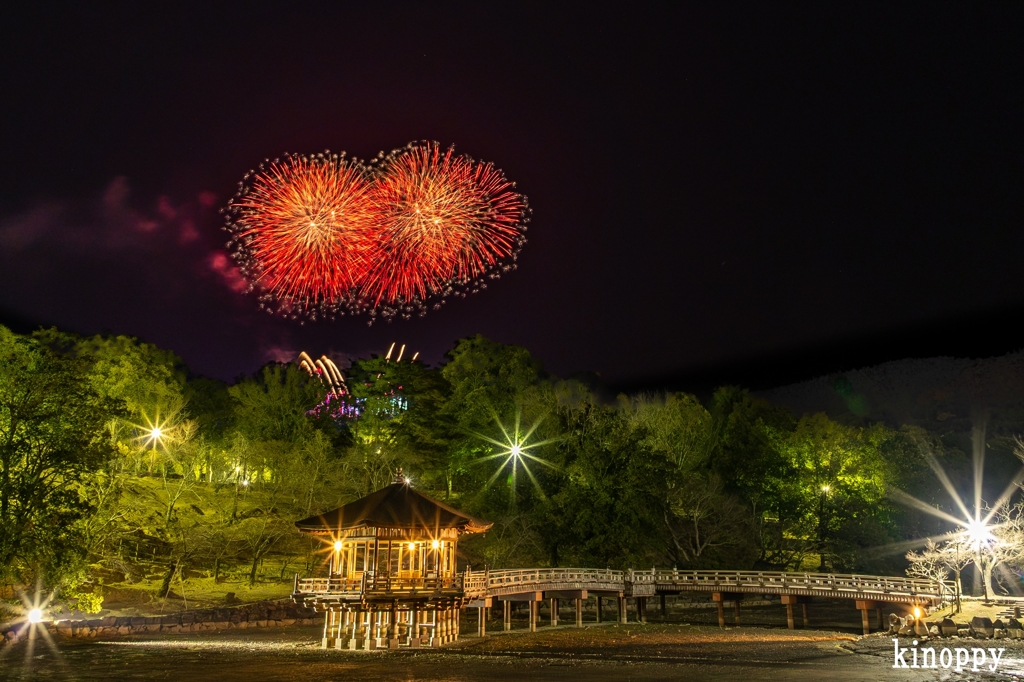 奈良公園バースデー花火 2