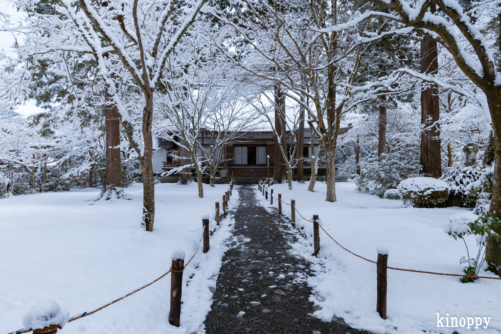 三千院 雪景色 2
