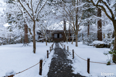 三千院 雪景色 2