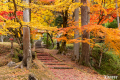 龍穏寺 紅葉 2