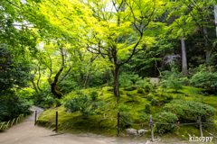 詩仙堂 新緑 5