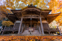 西光寺 紅葉 4