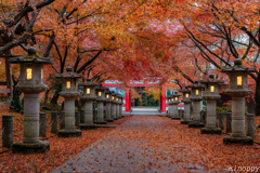 高山寺 紅葉 Ⅱ  3