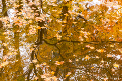 談山神社 紅葉 6