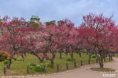 大阪城 梅林 2