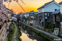 八幡堀 春景色